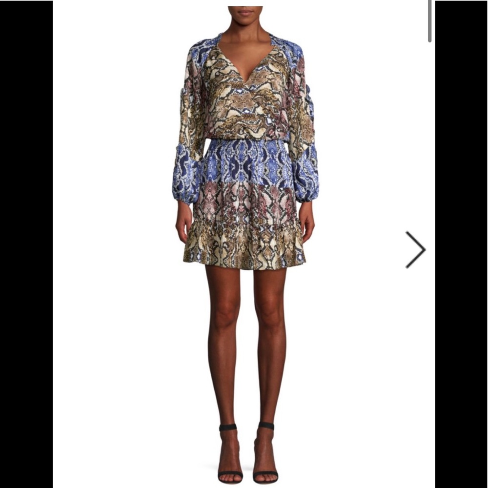 NWT silk dress by Parker